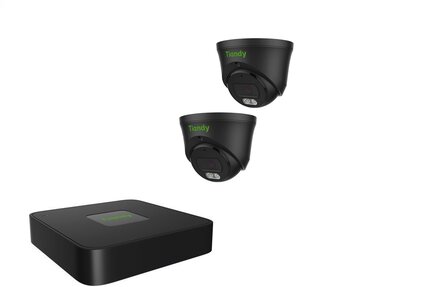 Tiandy NVR 1TB hdd met 2 x fixed color camera zw