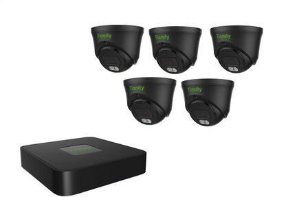 Tiandy NVR 1TB hdd met 5 x fixed color camera zw