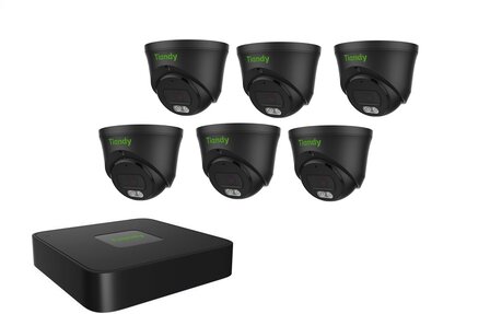 Tiandy NVR 1TB hdd met 6 x fixed color camera zw