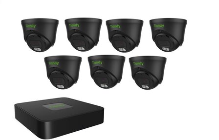 Tiandy NVR 1TB hdd met 7 x fixed color camera zw