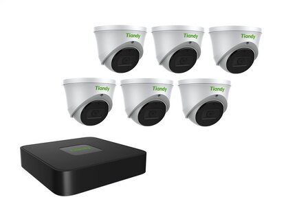 Tiandy NVR 1TB hdd met 6 x fixed color camera wit