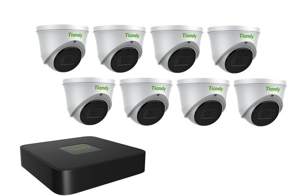 Tiandy NVR 1TB hdd met 8 x fixed color camera wit