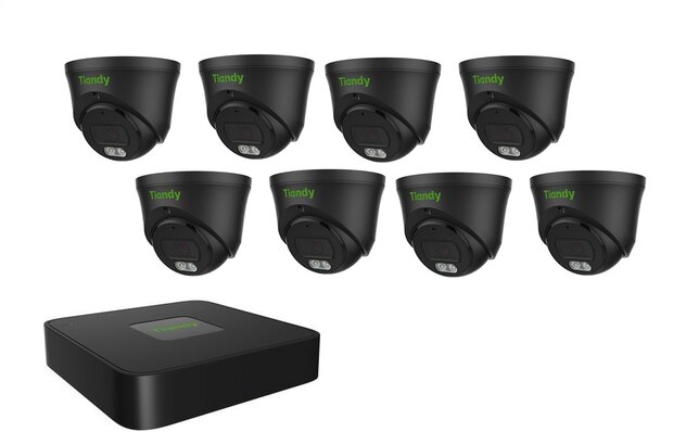 Tiandy NVR 1TB hdd met 8 x fixed color camera zw
