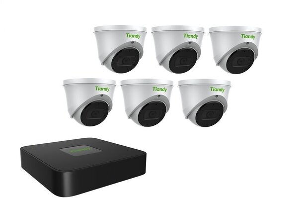 Tiandy NVR 1TB hdd met 6 x fixed color camera wit